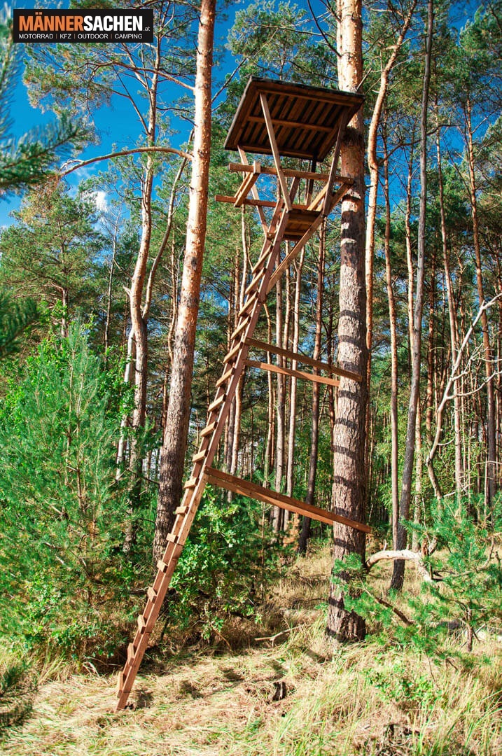 BAUMLEITER Ansitzleiter 600 CM  ABHOLUNG & VERSAND